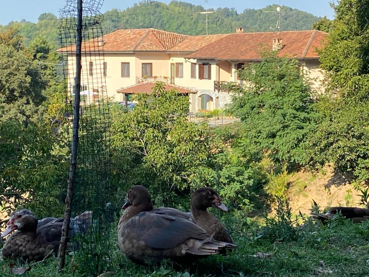 Come Una Volta Farm Brozolo Buitenkant foto