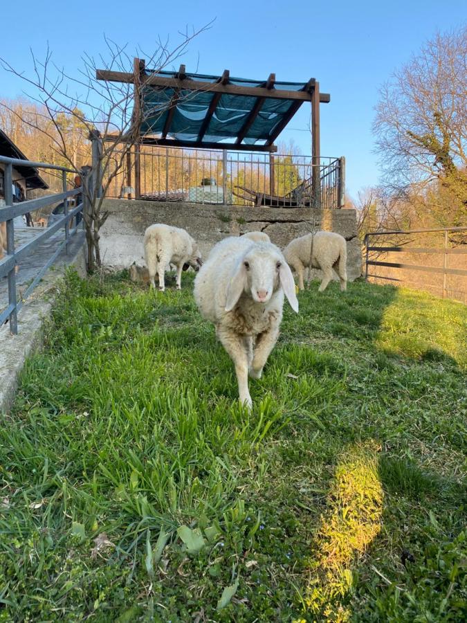 Come Una Volta Farm Brozolo Buitenkant foto