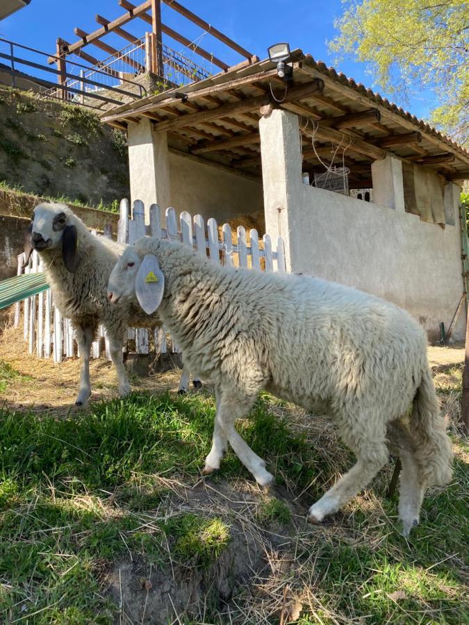 Come Una Volta Farm Brozolo Buitenkant foto